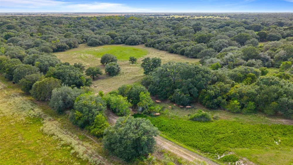 382 Louise, TX 77455