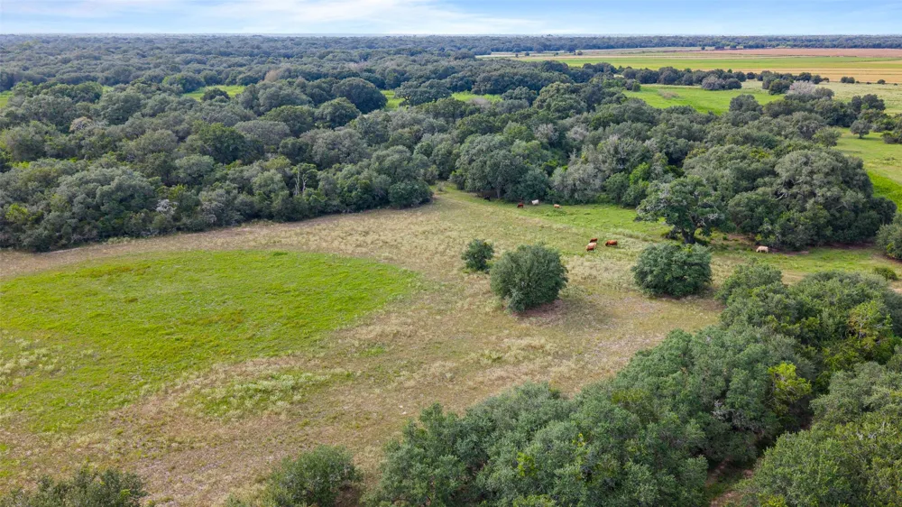 382 Louise, TX 77455