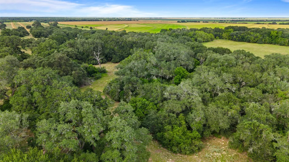 382 Louise, TX 77455
