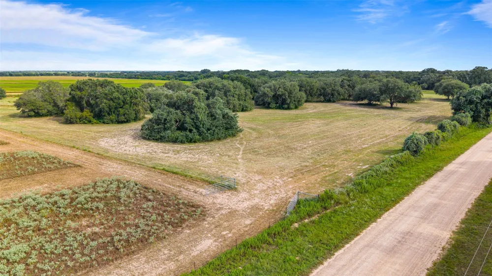 382 Louise, TX 77455