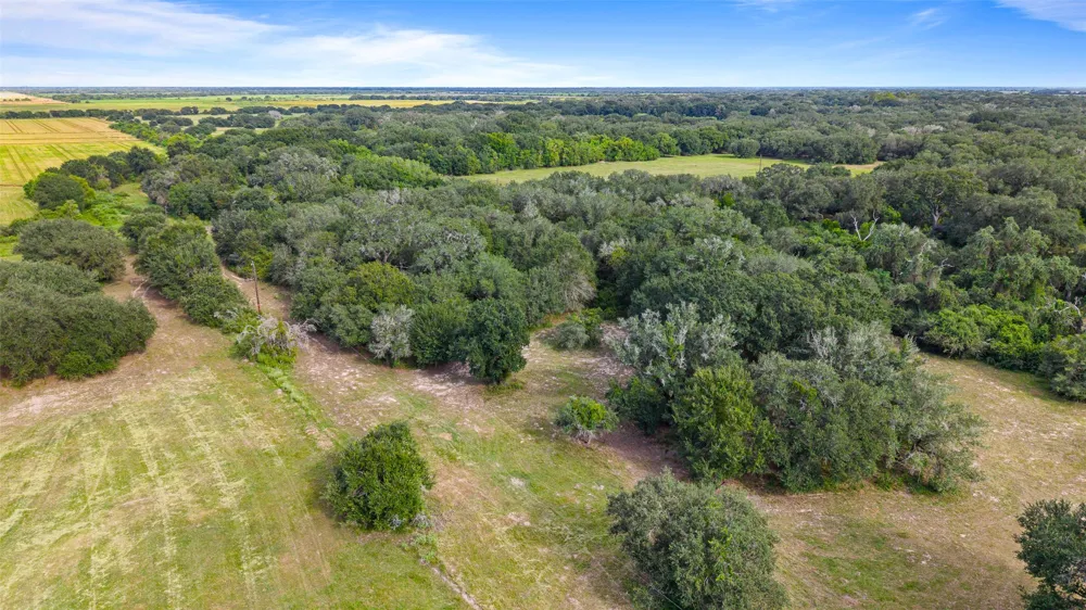 382 Louise, TX 77455