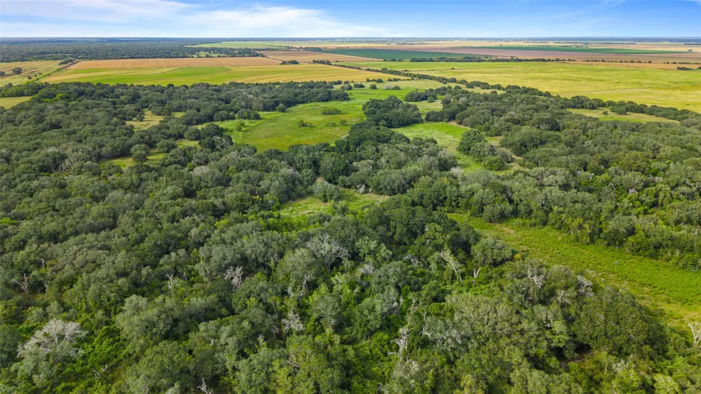 382 Louise, TX 77455