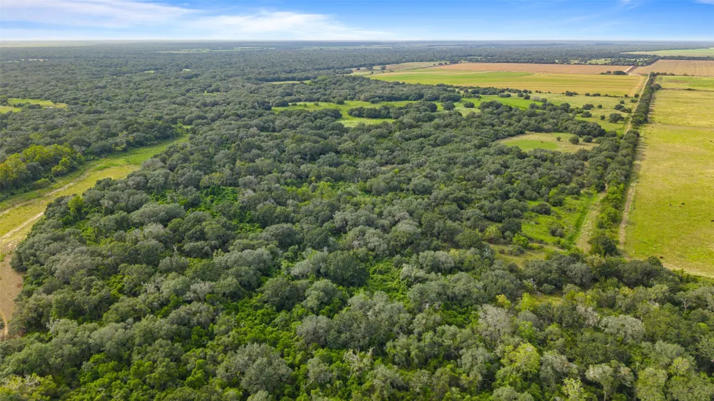 382 Louise, TX 77455