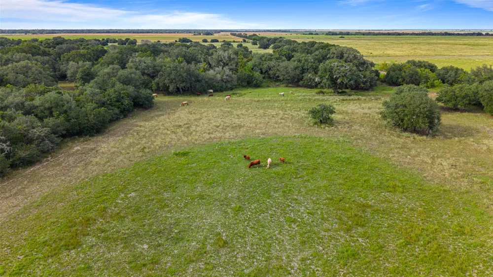382 Louise, TX 77455