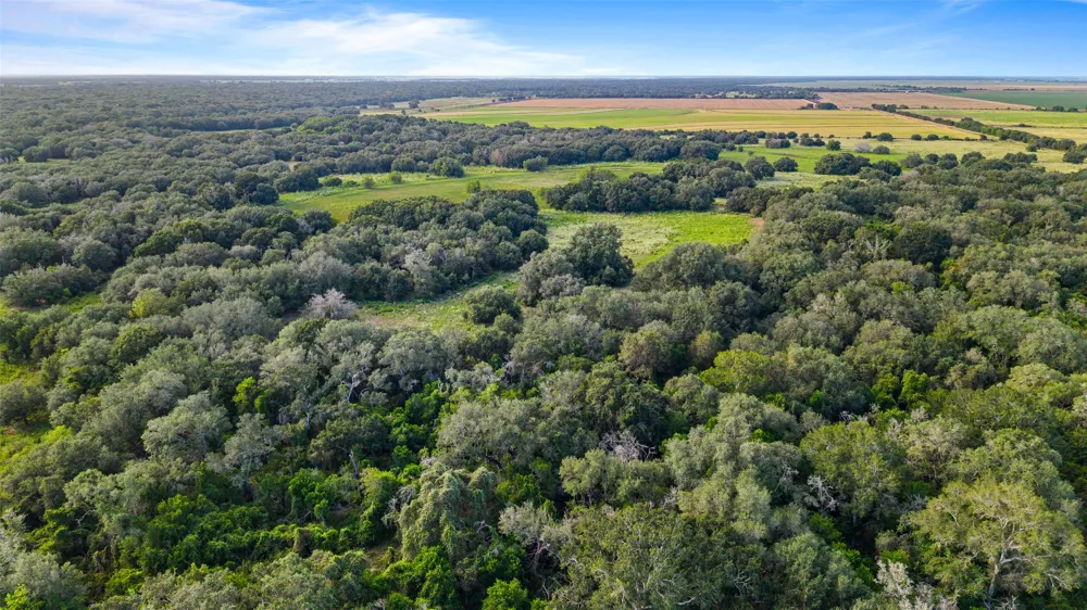 382 Louise, TX 77455