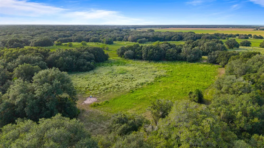 382 Louise, TX 77455