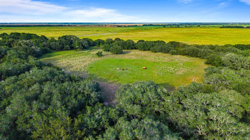382 Louise, TX 77455
