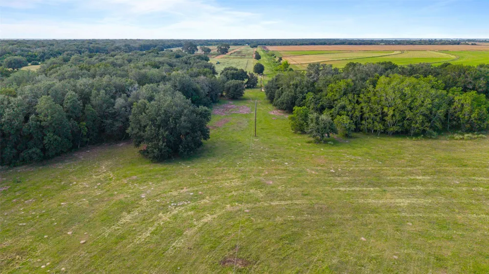 382 Louise, TX 77455