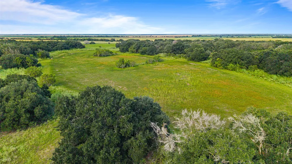 382 Louise, TX 77455