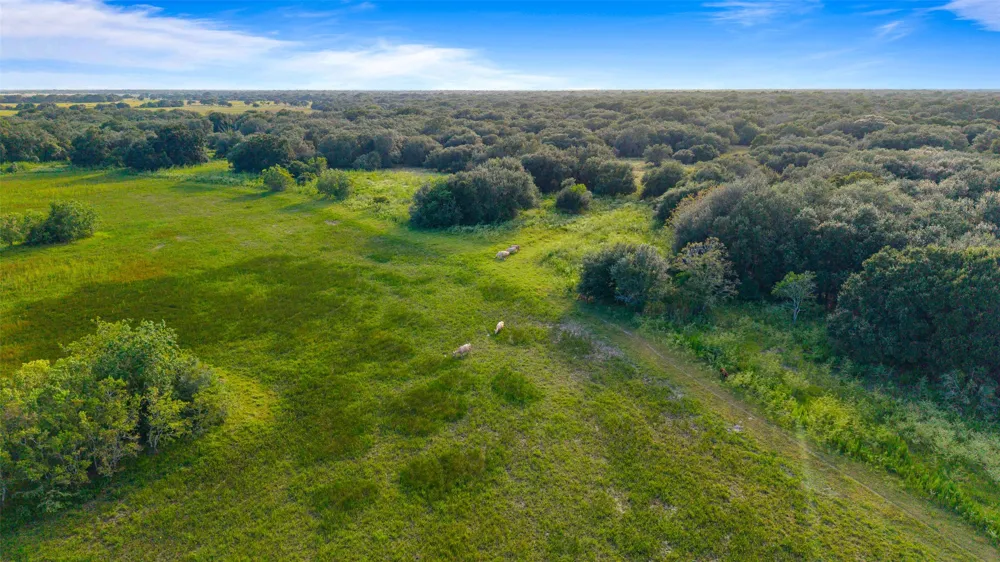 382 Louise, TX 77455