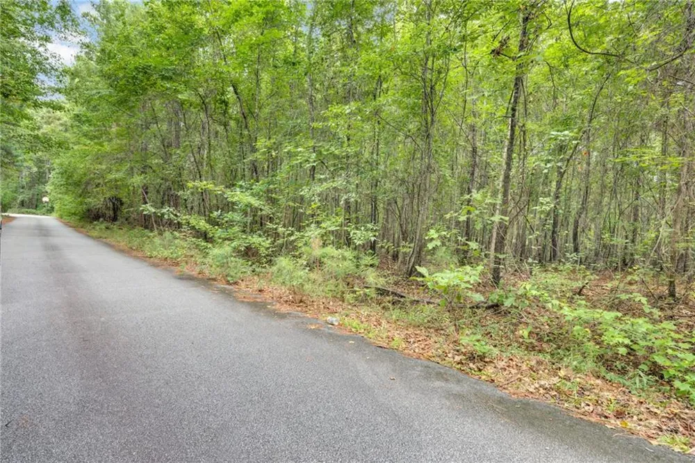 3735 Millstream Lane Stockbridge, GA 30281
