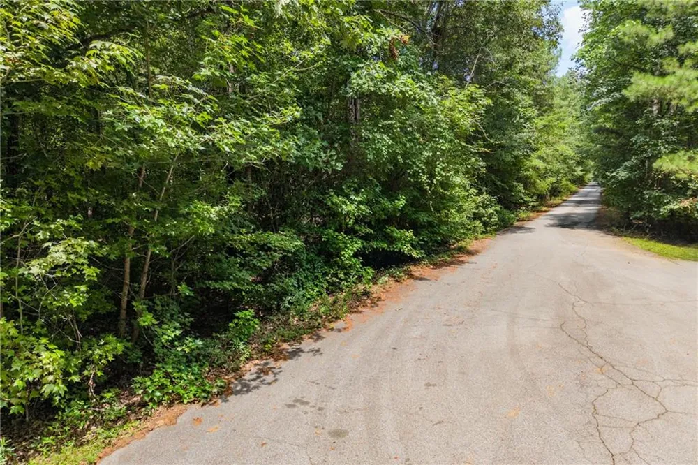 3735 Millstream Lane Stockbridge, GA 30281