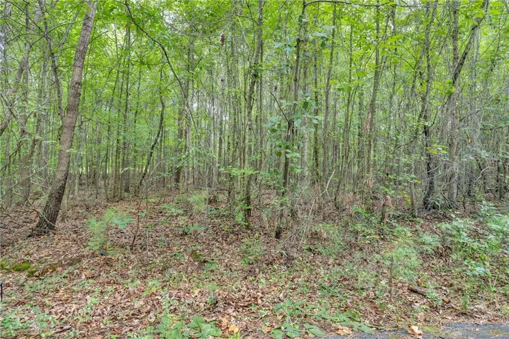 3735 Millstream Lane Stockbridge, GA 30281
