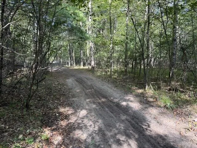 Timber Trail Prescott, MI 48756