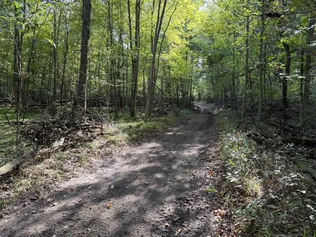 Timber Trail Prescott, MI 48756