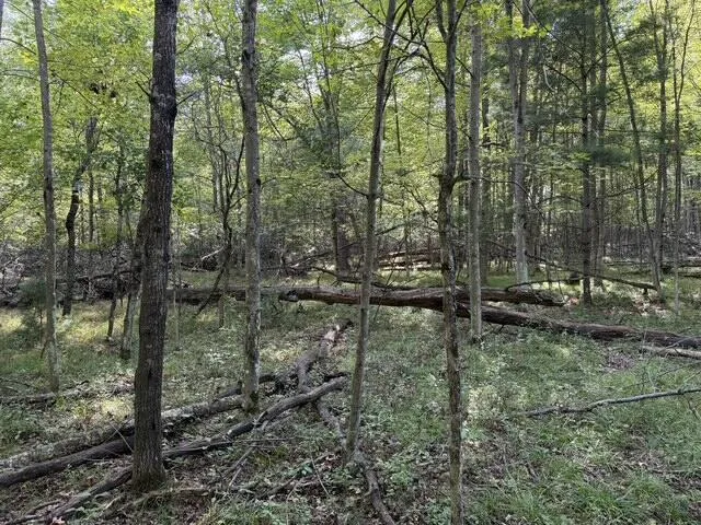 Timber Trail Prescott, MI 48756