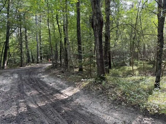 Timber Trail Prescott, MI 48756