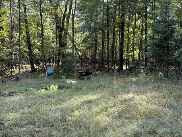 Timber Trail Prescott, MI 48756