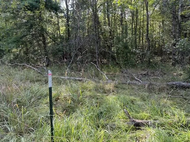 Timber Trail Prescott, MI 48756