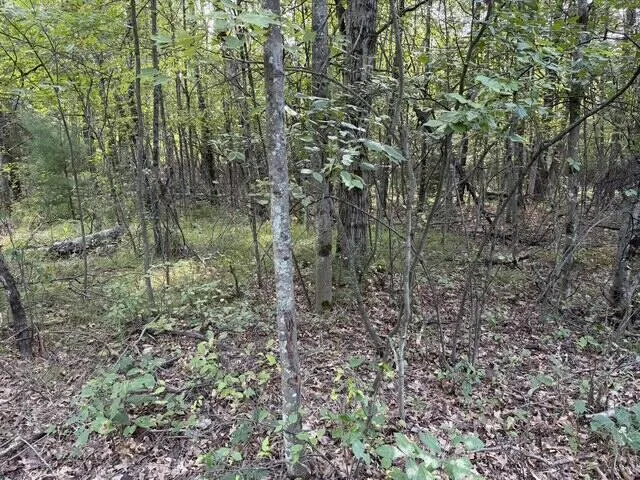 Timber Trail Prescott, MI 48756