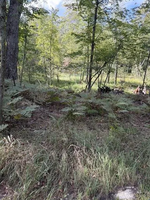 Timber Trail Prescott, MI 48756