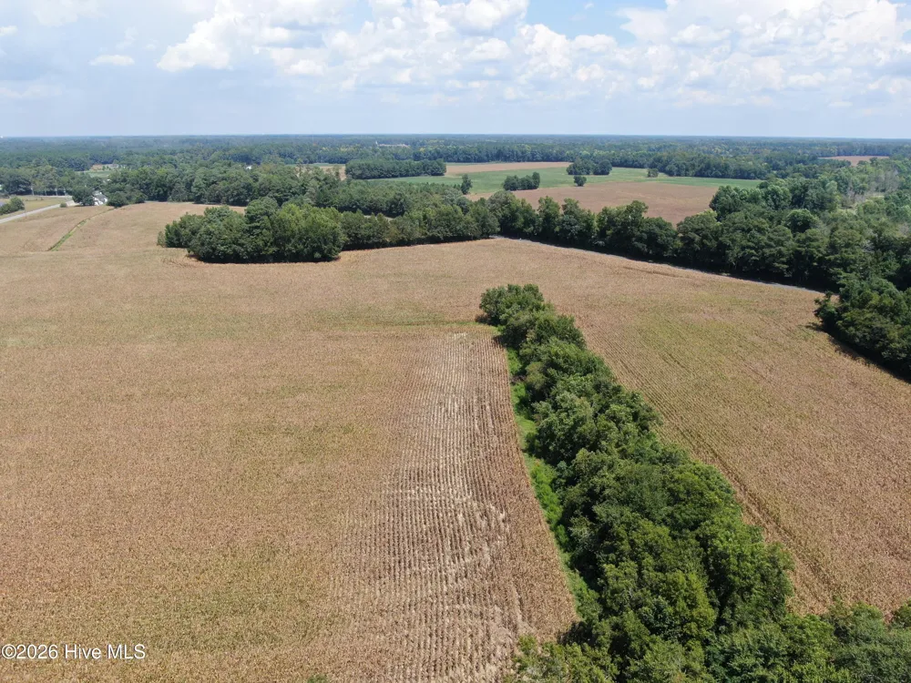 Tbd Nc 41 Fairmont, NC 28340