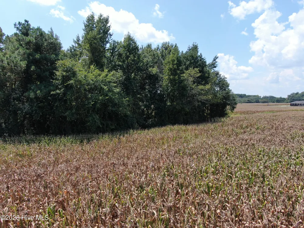 Tbd Nc 41 Fairmont, NC 28340