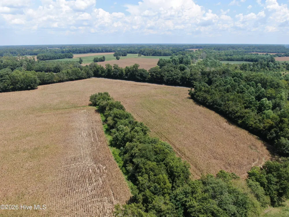 Tbd Nc 41 Fairmont, NC 28340