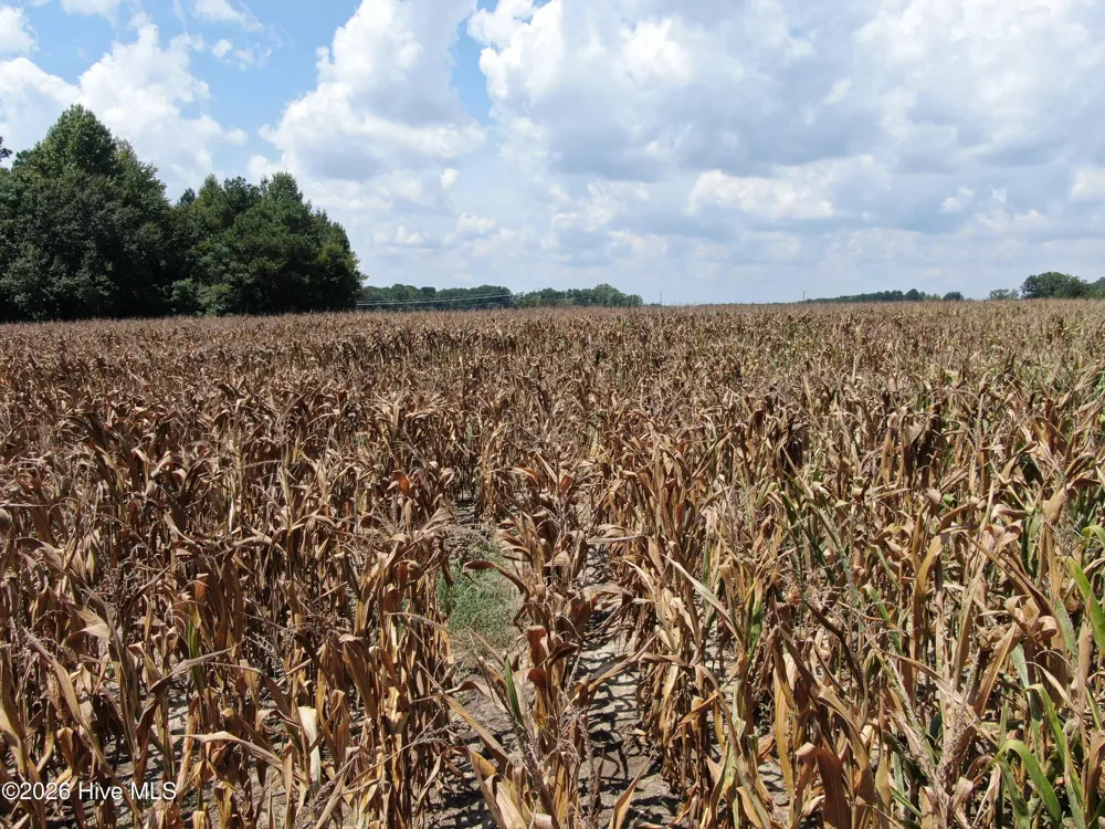 Tbd Nc 41 Fairmont, NC 28340