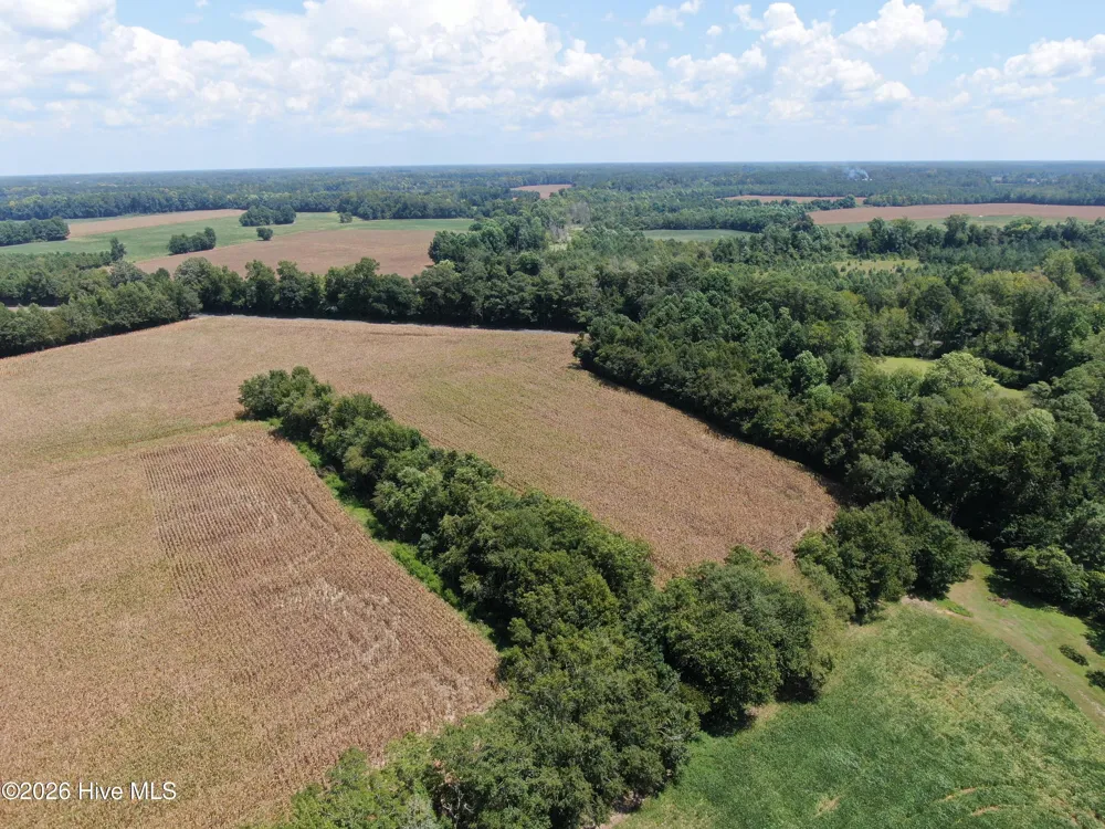 Tbd Nc 41 Fairmont, NC 28340