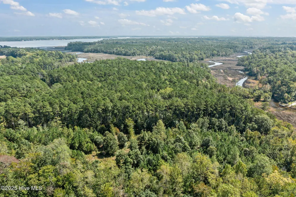 238 Mill Creek Road Stella, NC 28582