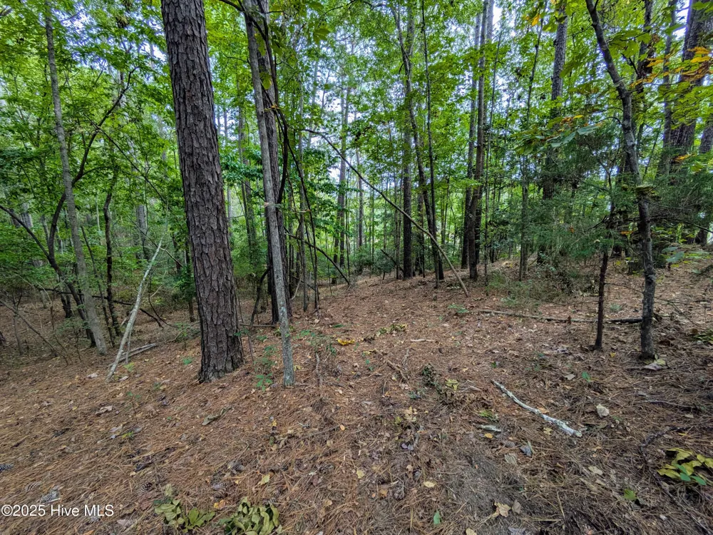 238 Mill Creek Road Stella, NC 28582