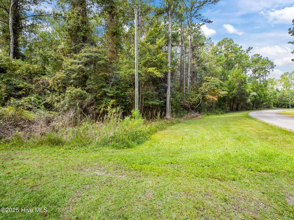 238 Mill Creek Road Stella, NC 28582