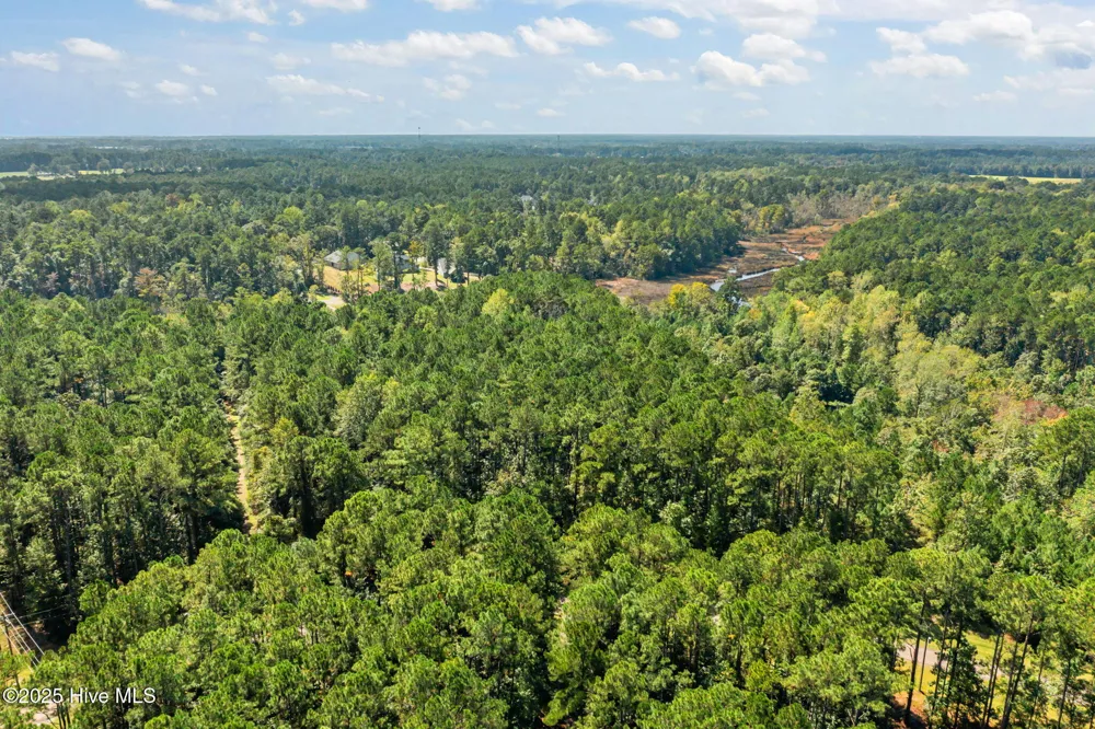 238 Mill Creek Road Stella, NC 28582