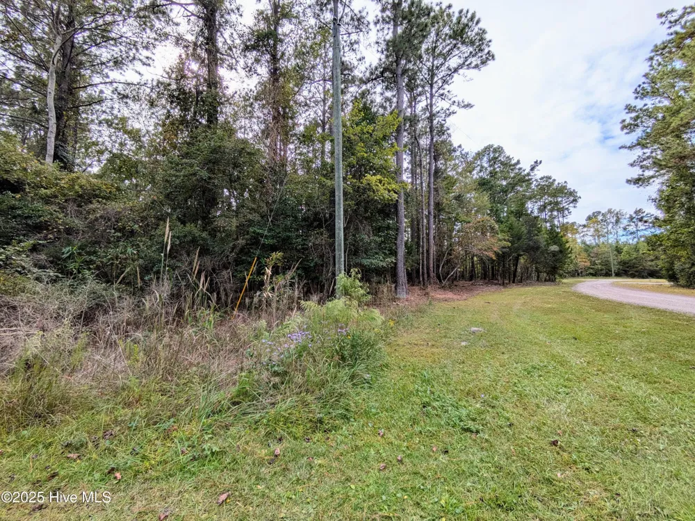 238 Mill Creek Road Stella, NC 28582
