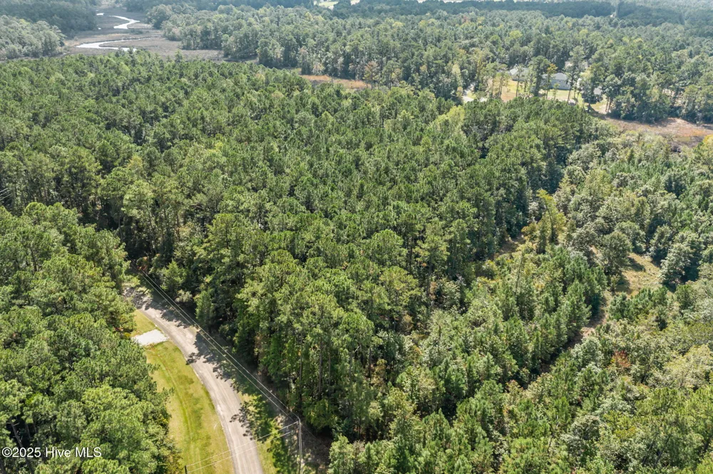 238 Mill Creek Road Stella, NC 28582