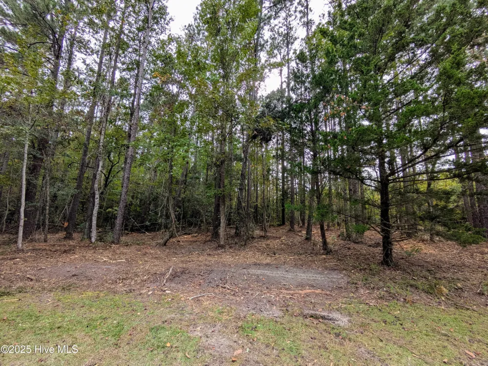 238 Mill Creek Road Stella, NC 28582
