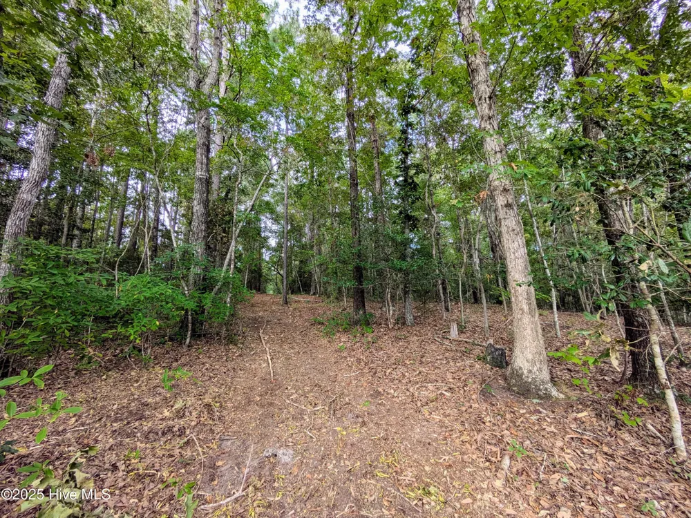 238 Mill Creek Road Stella, NC 28582
