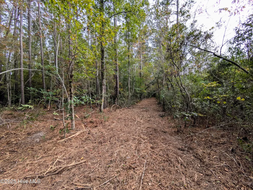238 Mill Creek Road Stella, NC 28582