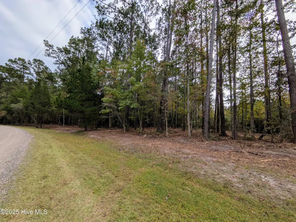 238 Mill Creek Road Stella, NC 28582