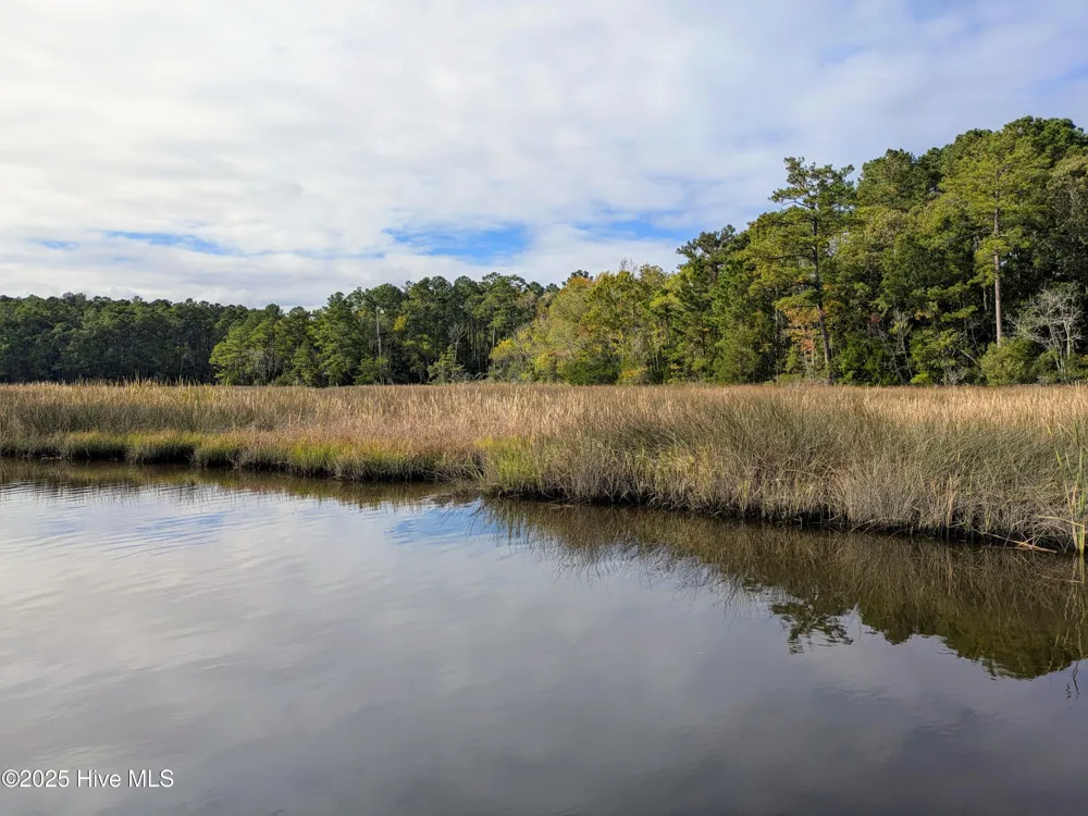 238 Mill Creek Road Stella, NC 28582