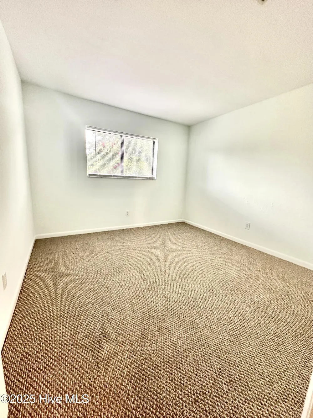 4451 Holly Tree Road Wilmington, NC 28412