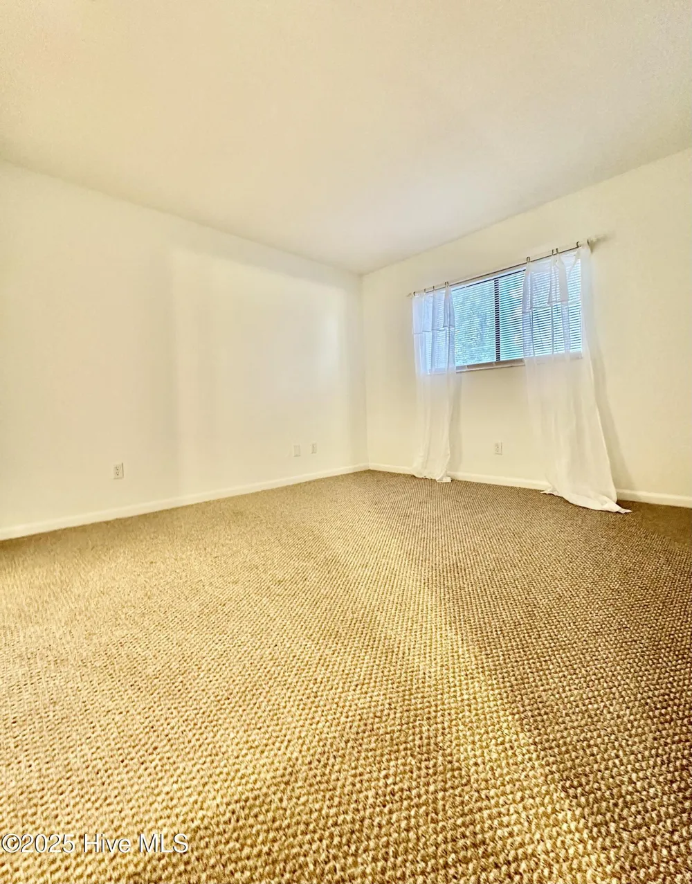 4451 Holly Tree Road Wilmington, NC 28412