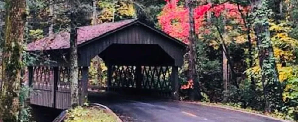 110 Sleeping Fawn Knoll Big Canoe, GA 30143