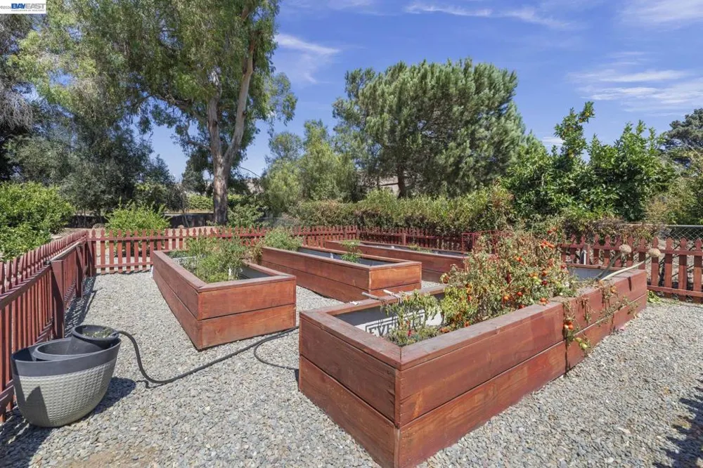35596 Linda Dr Fremont, CA 94536