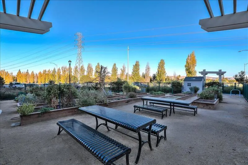 833 Lotus Flower Loop San Jose, CA 95123