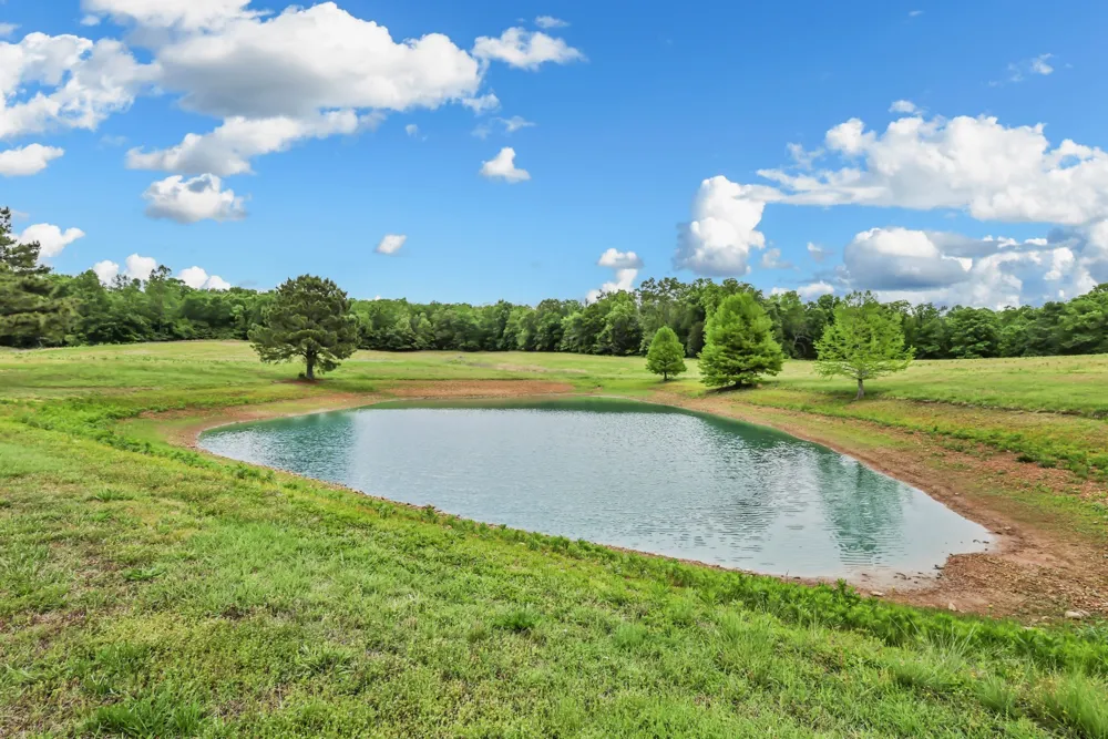 430 Hurricane Creek Dr Stewart, TN 37175