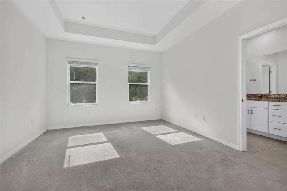 4382 SAILPLANE COURT Wesley Chapel, FL 33545
