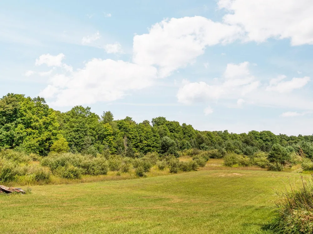 8645 Rahe Road Mayfield Township, MI 49648