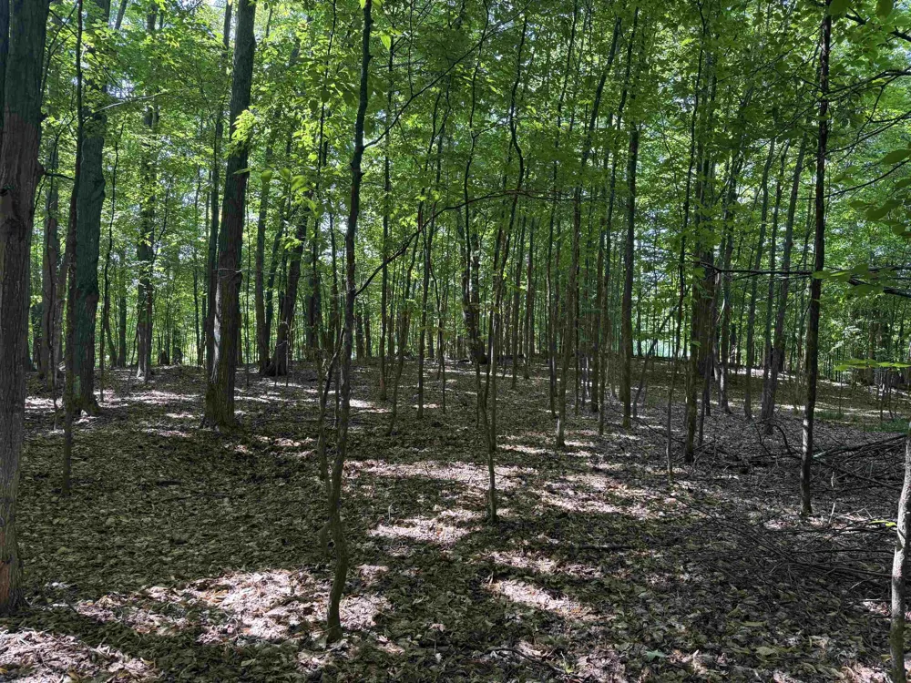 927 Backcountry Drive East Bay Township, MI 49696